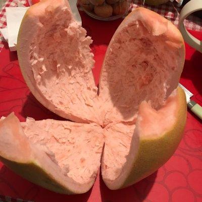 新手增强自信心的柚子茶！上桌秒光盘