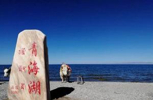 Field of Oilseed Flowers Combined with China’s Most Beautiful Lake – What Reason Would There Be Not to Go?