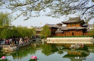 Luoyang's New Hot Tourist Spots: Tickets Are Just Your ID Card