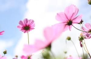 Character is a Person's Most Powerful Asset