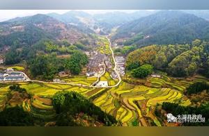 Today's Taihu Lake: Spring Vibes and Ancient Village Blossoms