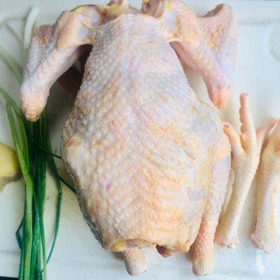 #橄榄中国味 感恩添美味#葱油鸡