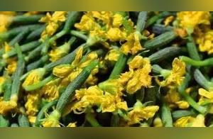 7 Rare and Delicious Vegetables Recognized in China - Have You Tried Them All?