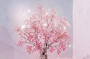Psychological Test: Which vase do you prefer to place? Test what you should let go of now.