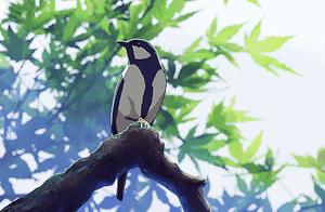 The Most Beautiful Chengdu in April! Sending You 9 Wallpapers to Collect Spring Scenes