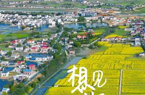 Changsha Hundred Scenery Map Continues to Update - Seeking Spring by the Xiang River, New Days Every Day