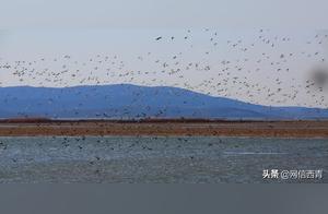 Tianjin Jixiu: Blue Sky, Azure Blue, and a Flock of Birds