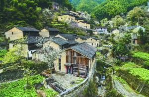 Spring Tour of Chun Pan Kang Pit – Rain-Kissed Pear Blossom Bloom