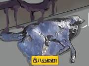 Shocking! A Dog Covered in Asphalt – Truly Heartbreaking...