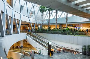 Following ‘Travelogue’ in Singapore, Recommending the World’s Best Airport, and Experiencing Garden Scenery