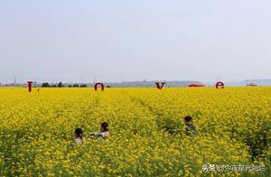 The flowers of Wugong Ancient City have bloomed into the sea, so enjoy them while you can – you'll have to wait a year!