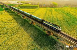 TruthThe True Core Area of the ‘Shuyang Rapeseed Flower Sea’ Is Here!