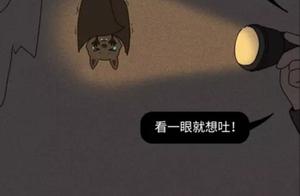 A Bat's Tearful Confession