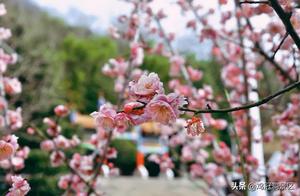 Such a Wonderful Spring!