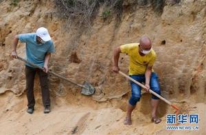 Haikou: Clearing Trees on Slopes to Create a Suitable Habitat for Azure-winged Magpies and Chestnut-crowned Magpies