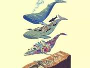 Understanding a Wonderful Natural Phenomenon – Whale Falls, Worthy of Humanity
