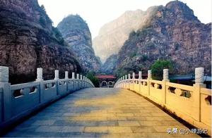 In the spring of March, the Beijing Pinggu Grand Canyon and 22-acre Peach Blossom Forest have bloomed, attracting flocks of jays!