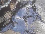 Dog Attacked with Asphalt, Lying Weak and Dying by the Side of the Road, Fortunately Saved in Time