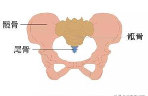 Incorrect Walking Posture Can Lead to Pelvic Issues, Repair Pelvis with Yoga