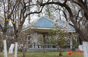Flower Viewing Season | Lanzhou Botanical Garden: A Full Garden of Spring Colors, Flowers in Bloom, Welcoming You Home