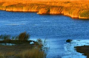 The Beauty of Northern Xinjiang's Autumn Colors is Undoubtedly Extraordinary – Different Mindsets, Different Insights