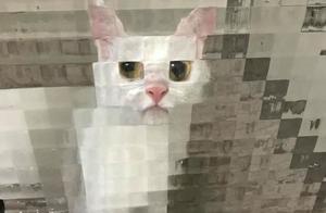 A Method to Instantly Pixelate Your Cat
