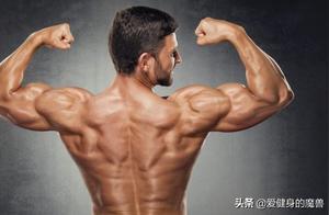 Strengthening Your Back: 8 Exercises to Build Muscle Better