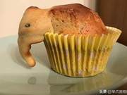 Every time a cake is baked, an elephant ‘is born’.