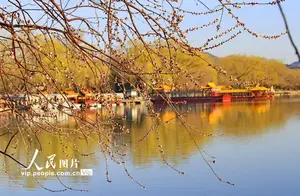 Beijing's Yiheyuan: Peach Blossoms and Azure Water Stain the West Bank