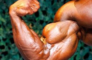 Overused, Neglected Stretching: The Biceps Brachii Allows Your Arm to Function More Completely