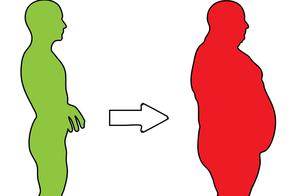 How to Form an Easy Fat Physique? Understand It and Weight Loss Will Become Easier!