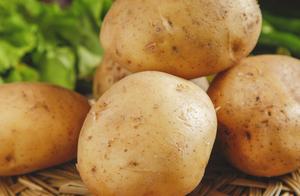 Best Home-Cooked Dishes: Sour and Spicy Potato Strings – Have You Learned How to Make Them?