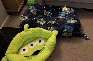 Bought a New Dog Bed for My Dog, But Its Reaction Made the Owner Laugh and Cry