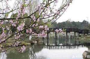Hangzhou Gao Ting Shan Scenic Area Activity Projects Gradually Open; Medical Workers Can Enjoy Free Admission