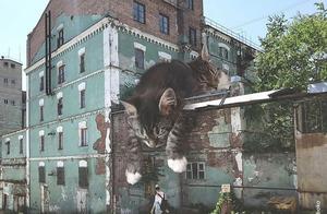 What If Cats Became Giant Monsters?