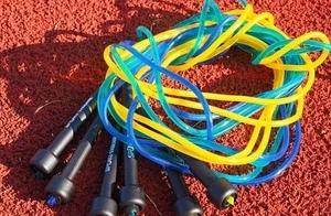 The Long-Term Plan Lies in Spring ~ It's the Golden Season for Fitness!