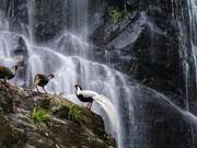 Yongan, Fujian: Flying Waterfall 'Divine Shadows'