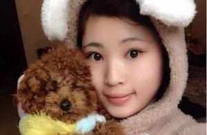 They Can't Take It Anymore! These 5 Things People Say They Want to Give Up When Raising Teddy Dogs