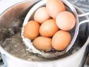 Is Eating Eggs Every Morning Good or Bad?