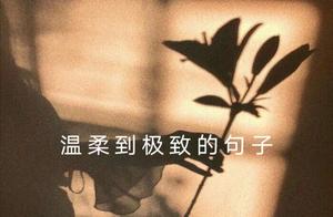 Sentences of Extreme Gentleness!