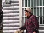 Touching: Grandmother Immediately Covered Her Golden Retriever's Ears to Prevent Fear from Fireworks