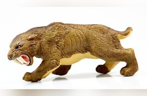 Saber-toothed Tiger
