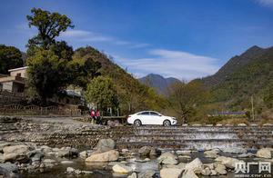 Lushun Village: Peach Blossoms in Paradise