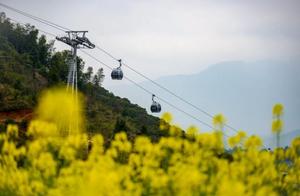 The Hongling Flower Sea is in Full Bloom