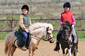 Why Ride Horses? – The Charm of Equestrianism