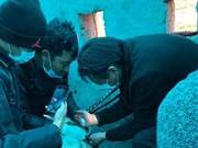 This time, it once again entered a Tibetan nomad's barn