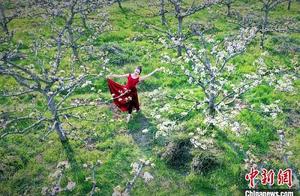 Pear Blossom Hundred Acres, Dancers Dance (Photo)