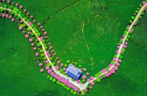 Changping Platform Create Garden Welcomes You to the 2025 Romantic Cherry Blossom Season