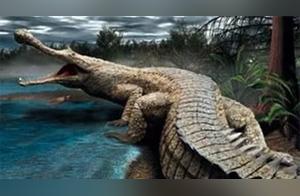 The True King of the Dinosaur World: Was Tyrannosaurus Rex the Ultimate Predator?
