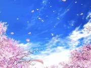 Cherry Blossom Forecast | A Gathering of 'Cherry' Beauties! Jinan Botanical Garden Cherry Blossoms Bloom Dreamily, Waiting for You to Come and Enjoy!